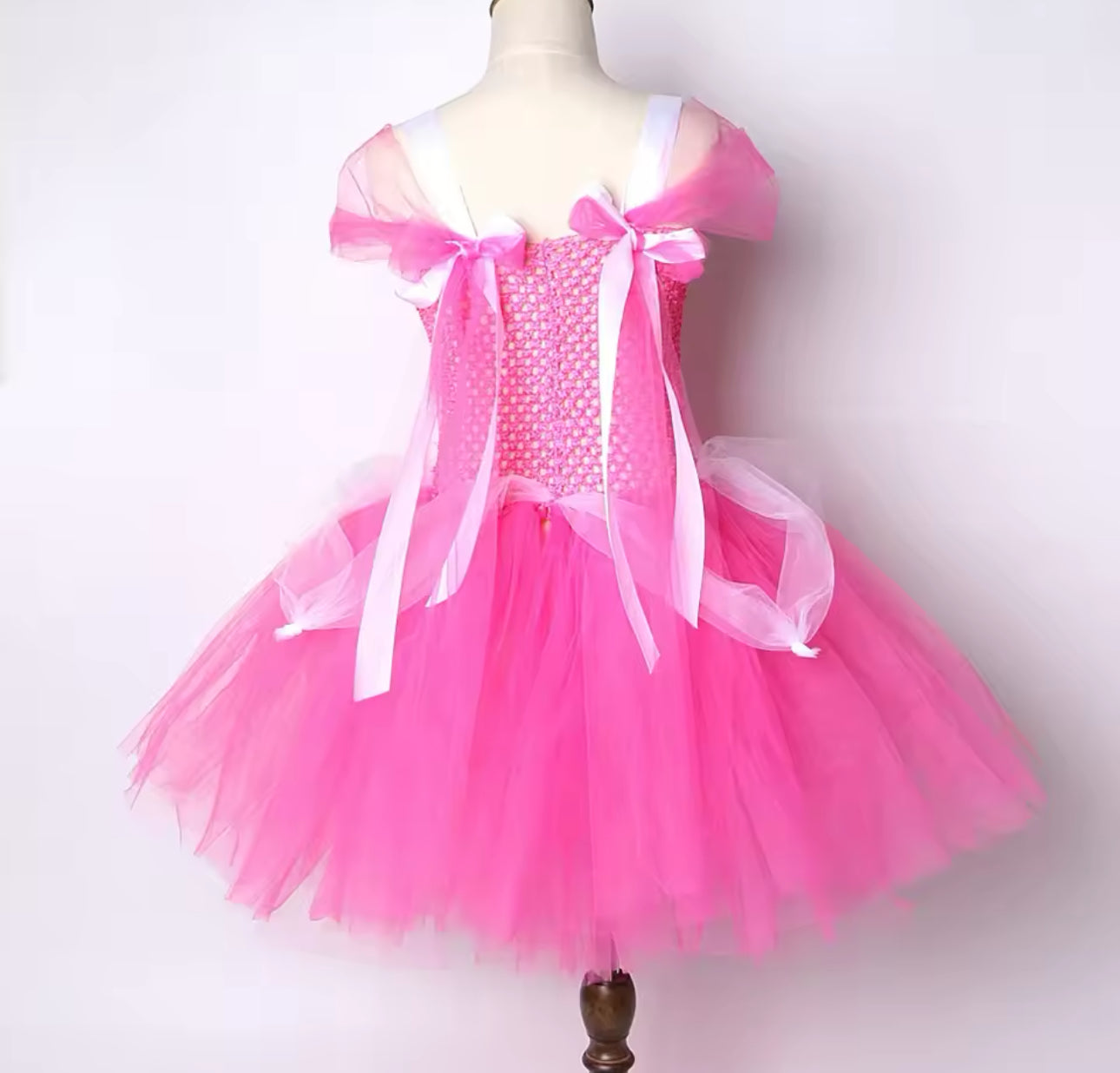 Sleeping Beauty Tutu Costume