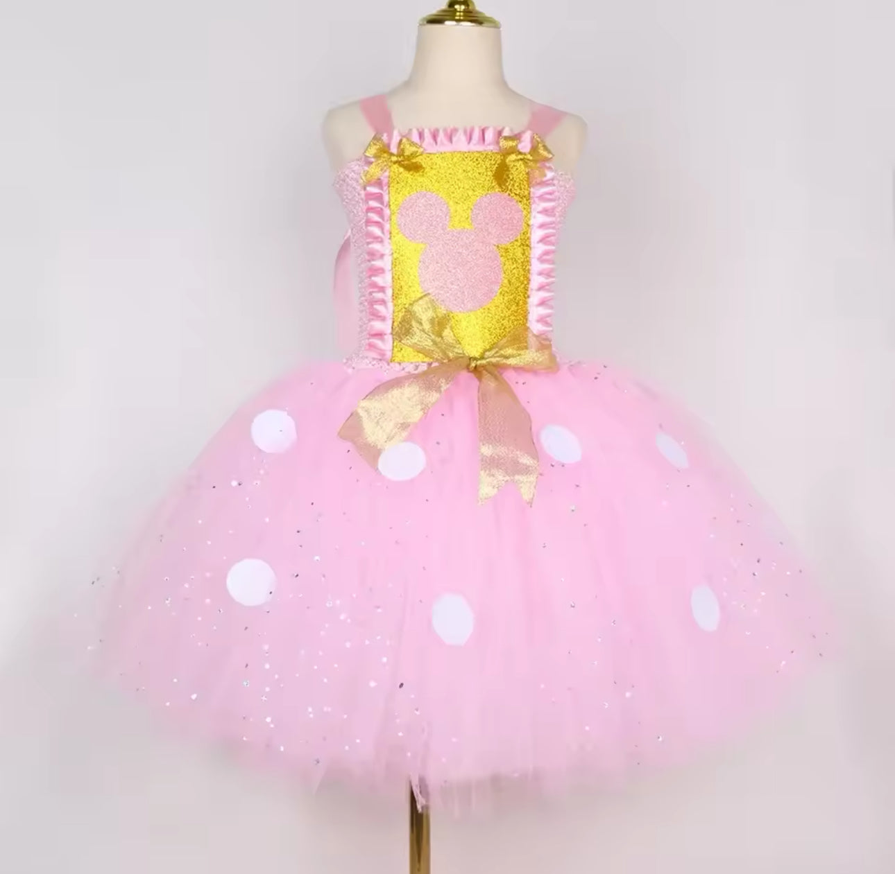 MinnieMouse Tutu Costume