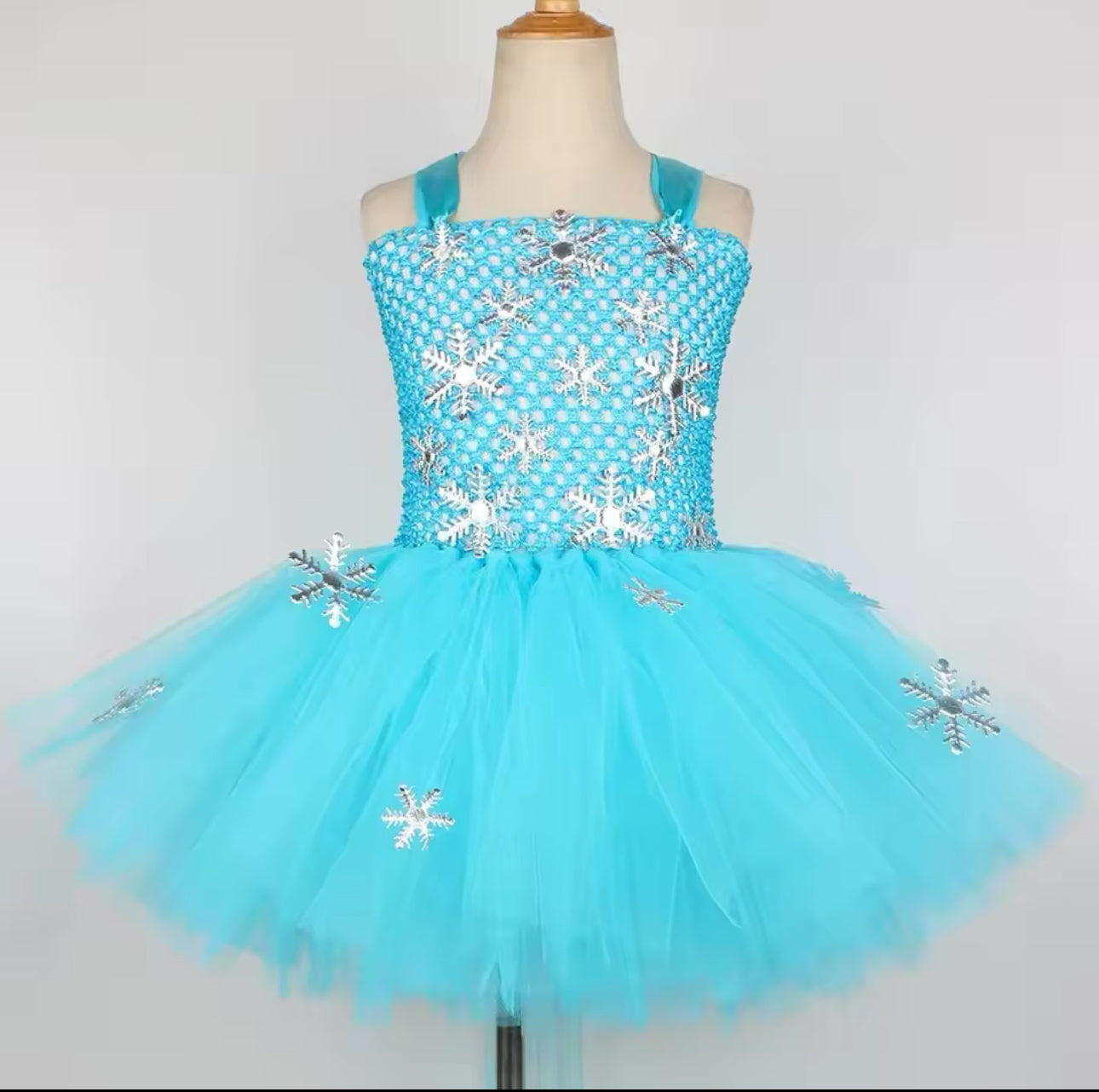 Elsa Themed Tutu Costume