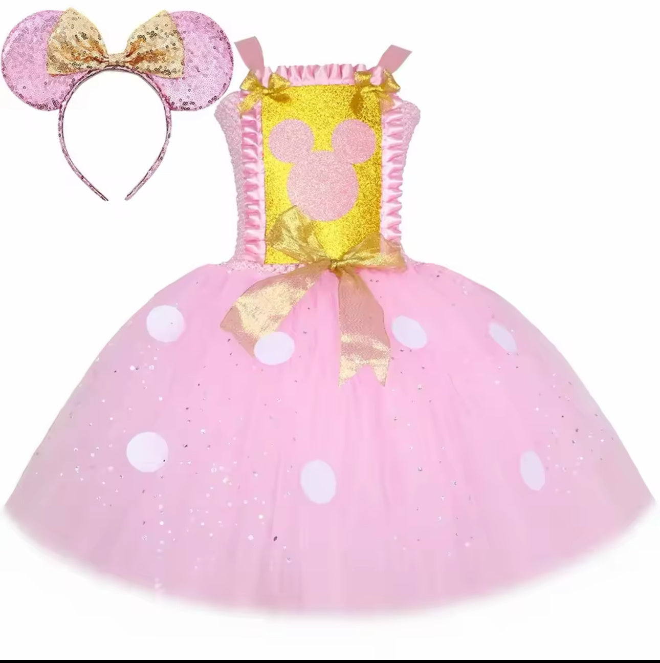 MinnieMouse Tutu Costume