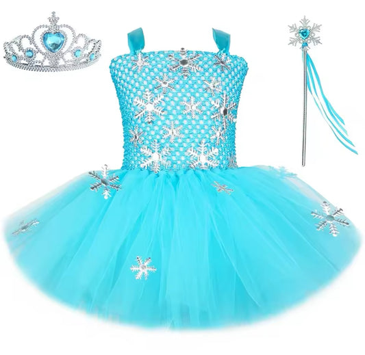 Elsa Themed Tutu Costume
