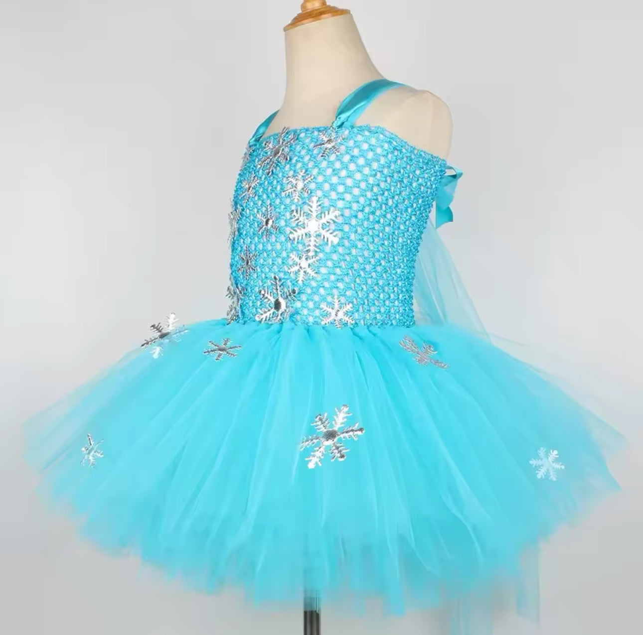 Elsa Themed Tutu Costume
