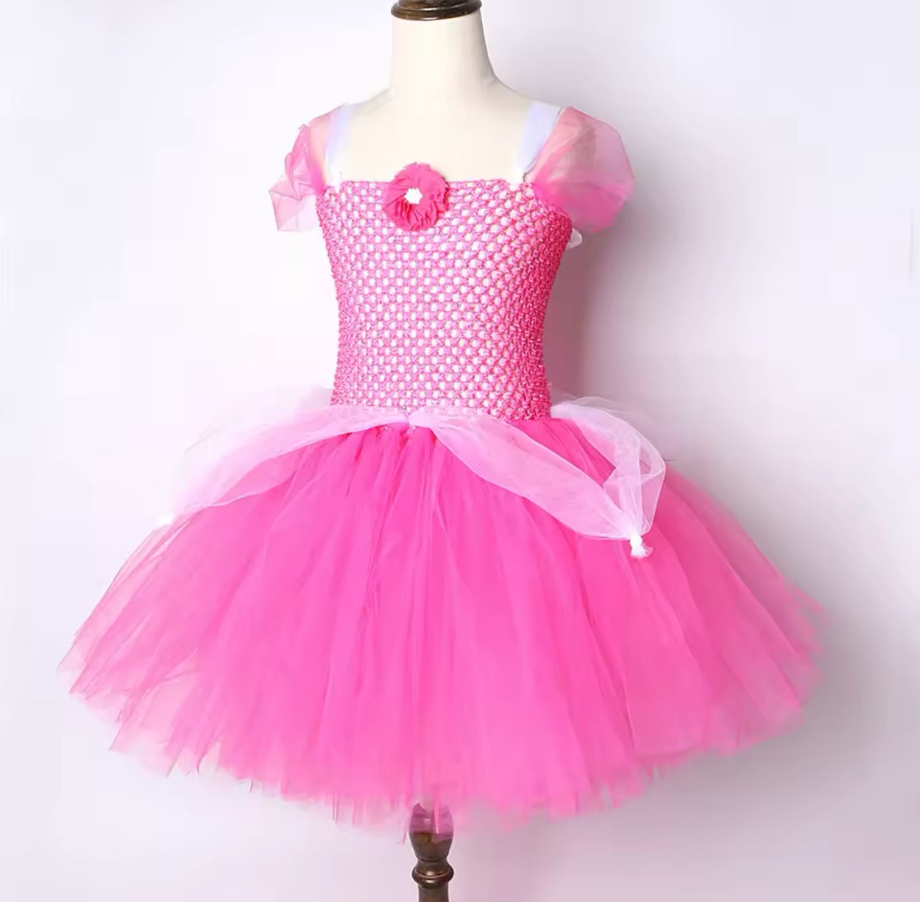 Sleeping Beauty Tutu Costume